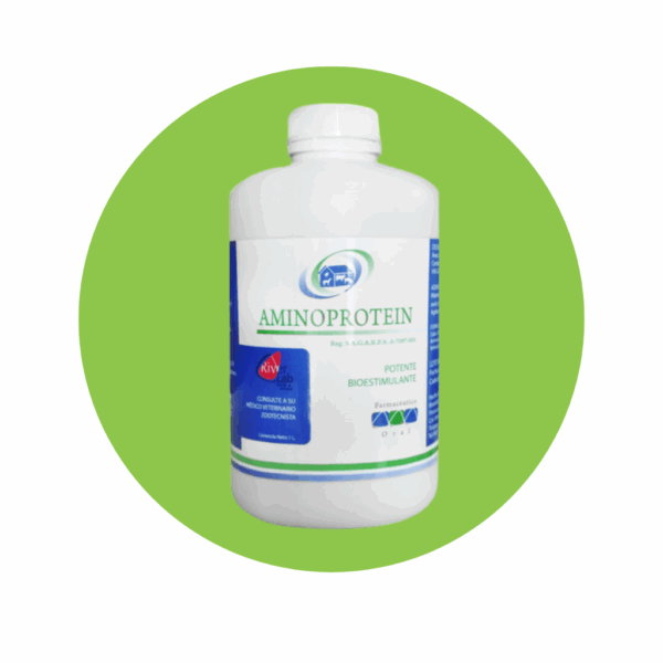 Aminoprotein 1 L