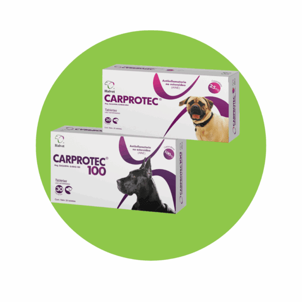 Carprotec