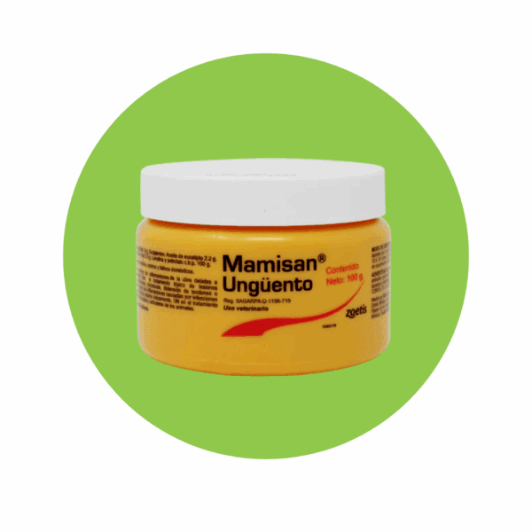 Mamisan Ungüento 100 g
