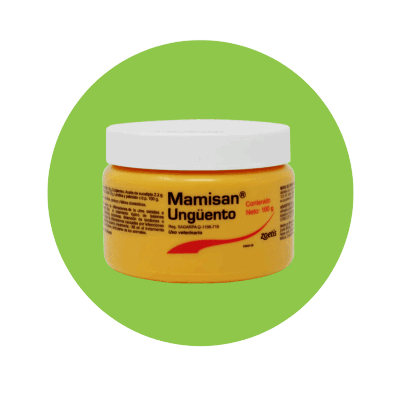 Mamisan Ungüento 100 g