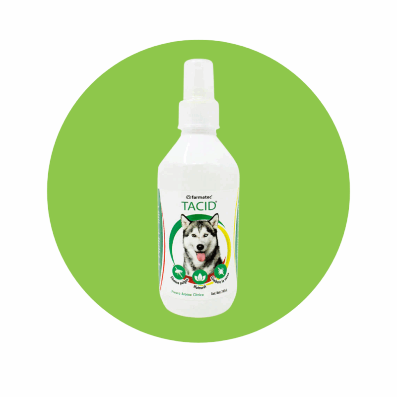 Tacid 240 ml