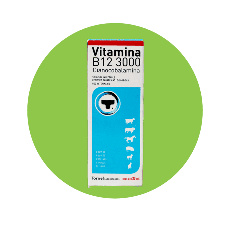 Vitamina B12 3000 30 ml