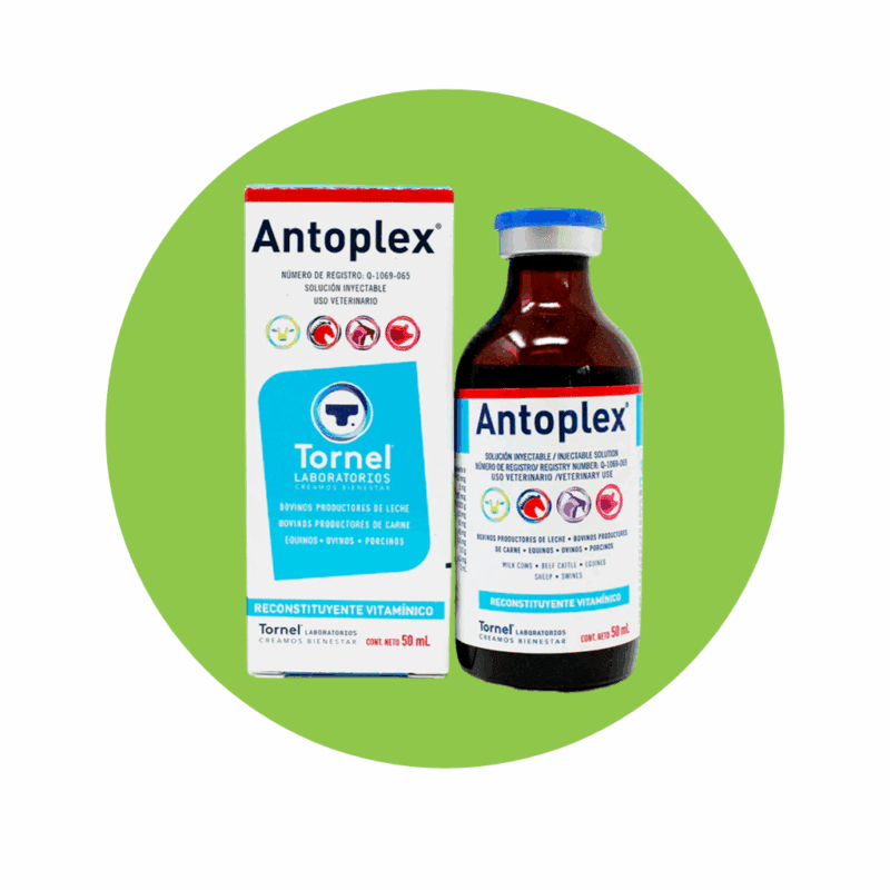 Antoplex 100 ml.