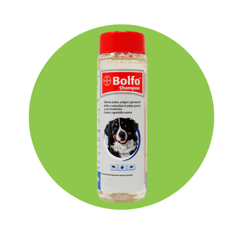 Bolfo Shampoo 350 ml.