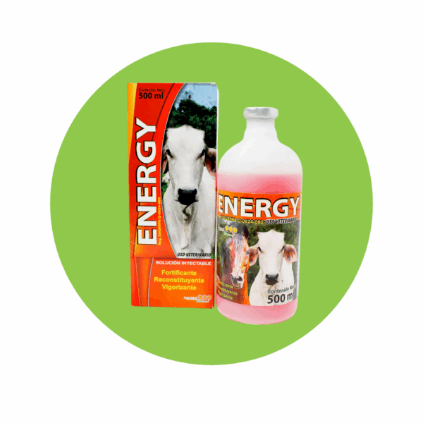 Energy 500 ml