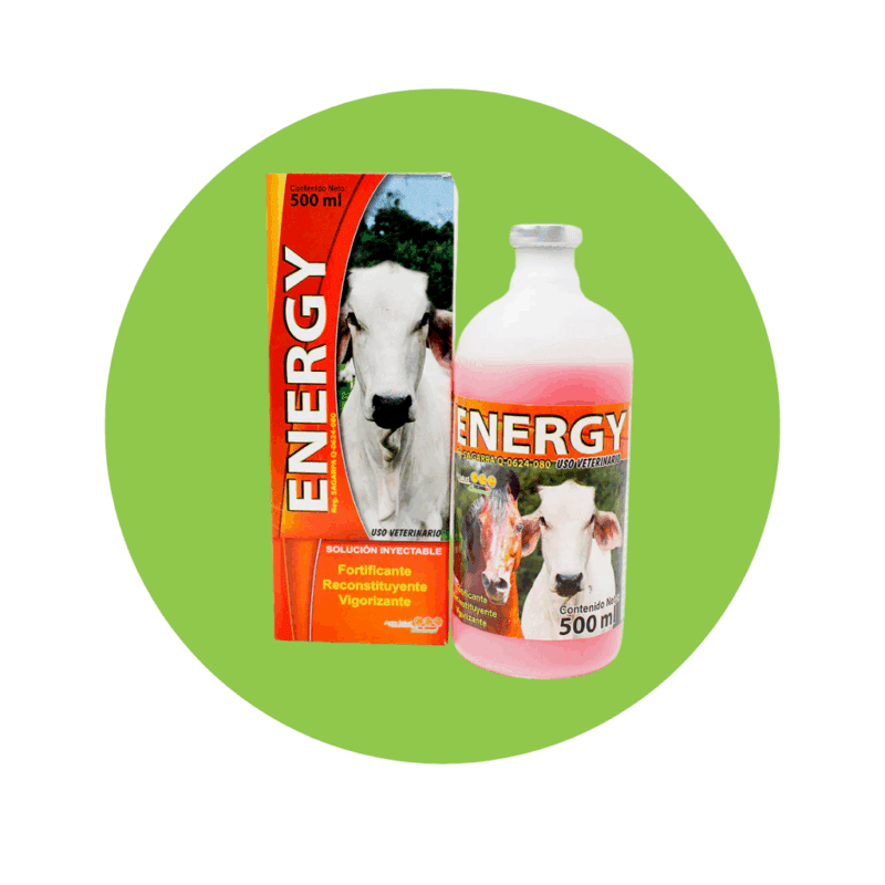 Energy 500 ml
