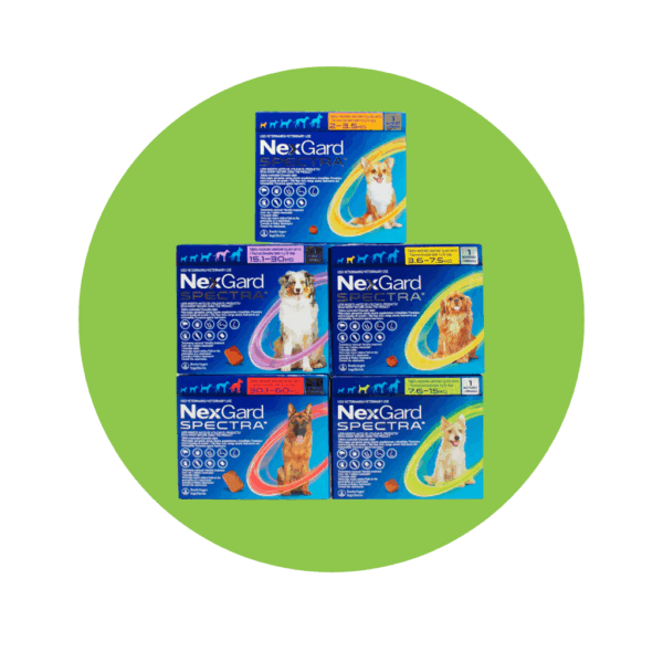 Nexgard Spectra