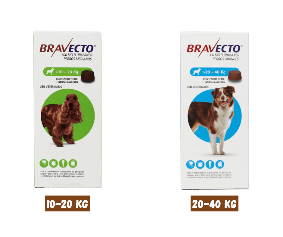 PUBLICACIONES COVET (3)