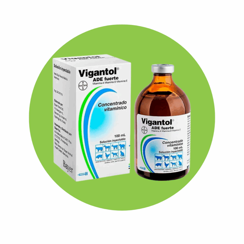 Vigantol ADE Fte. 100 ml.