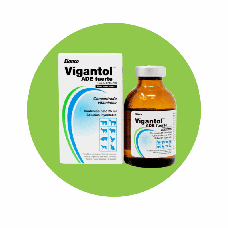 Vigantol ADE 25 ml
