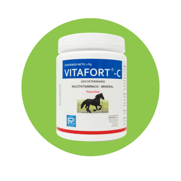 Vitafort C 1 Kg.