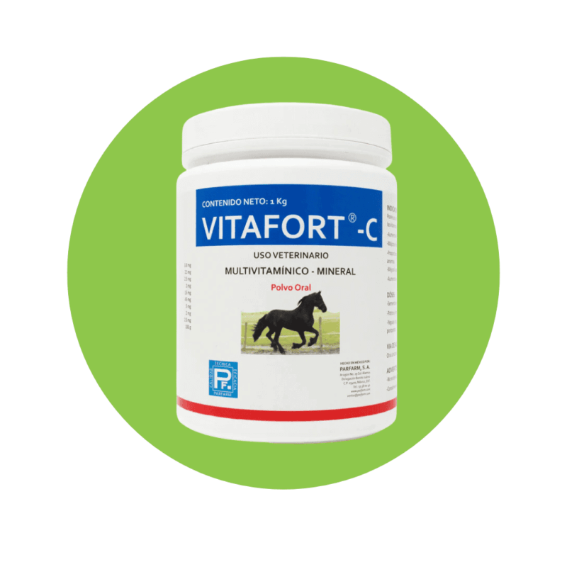 Vitafort C 1 Kg.