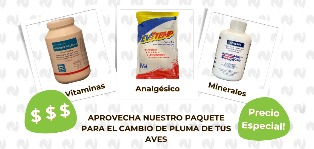 carrusel informativo
