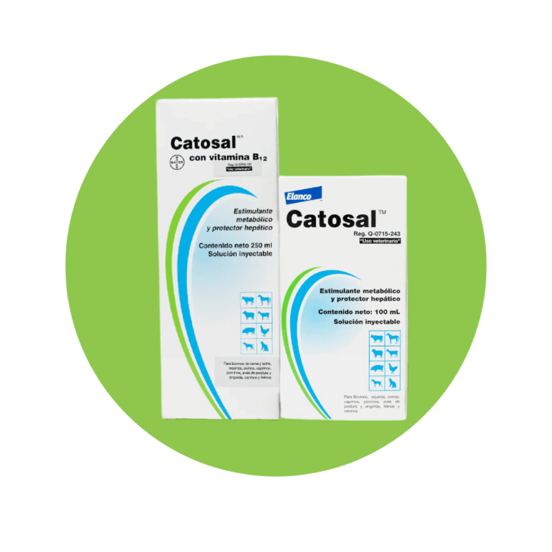 Catosal B12.