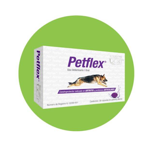 PET GEL